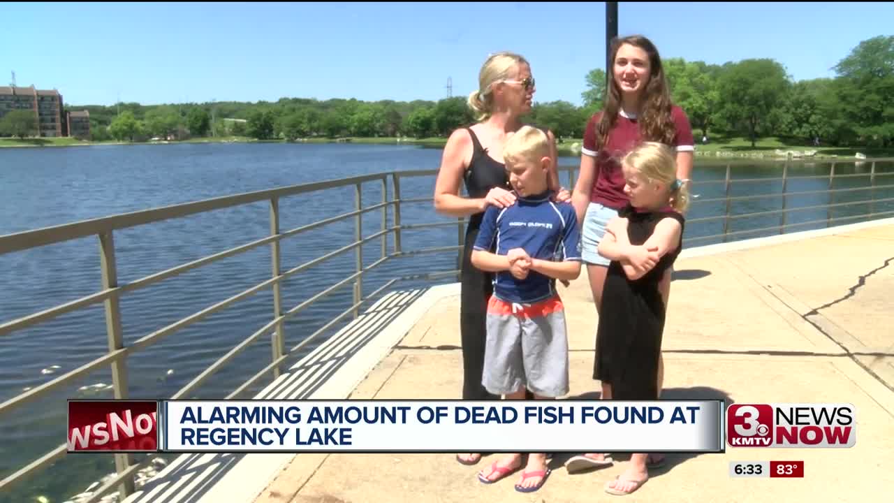 Fishy Situation at Regency Lake