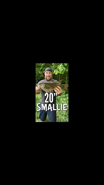 20" Smallmouth and my PB channel catfish!