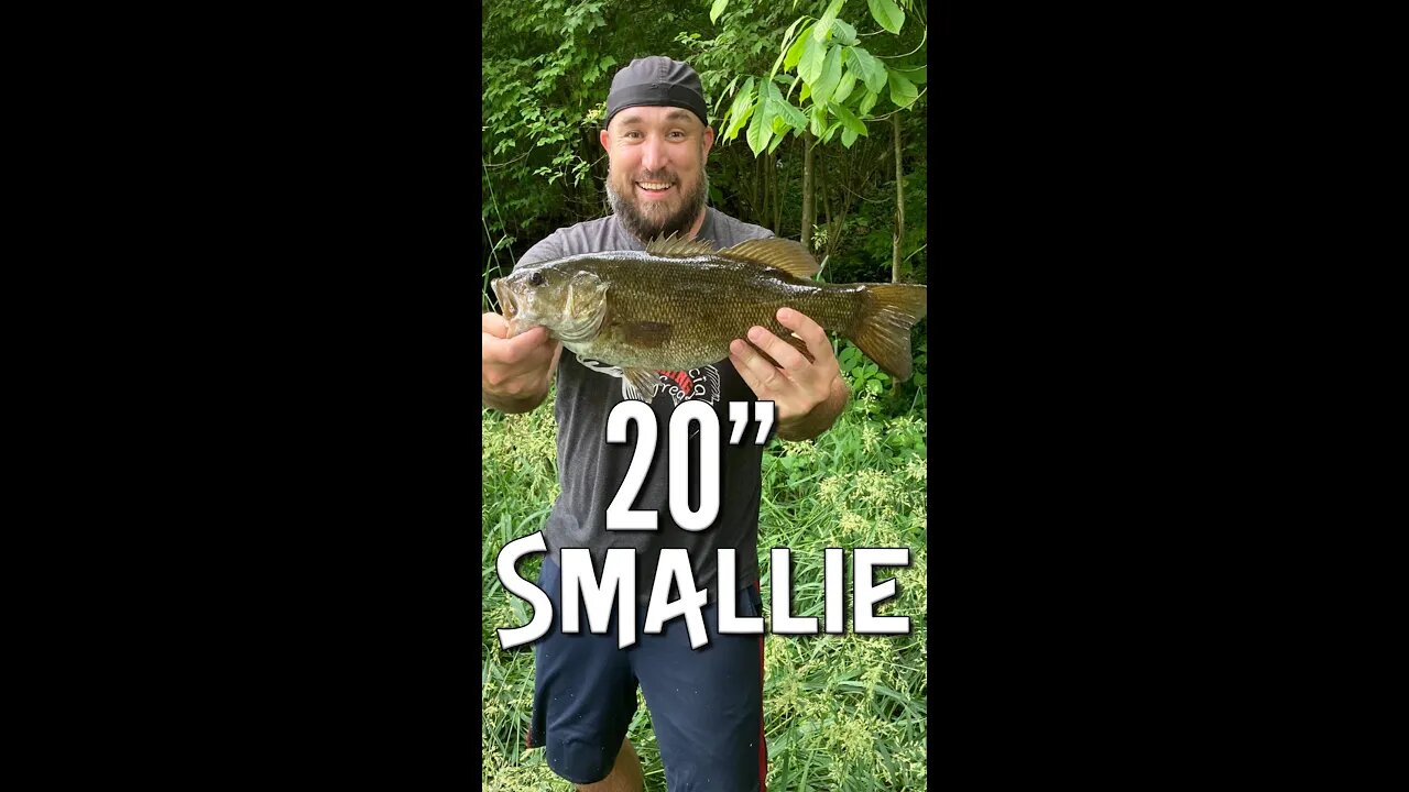 20" Smallmouth and my PB channel catfish!