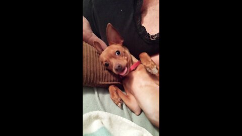 The Vicious Chi Attack