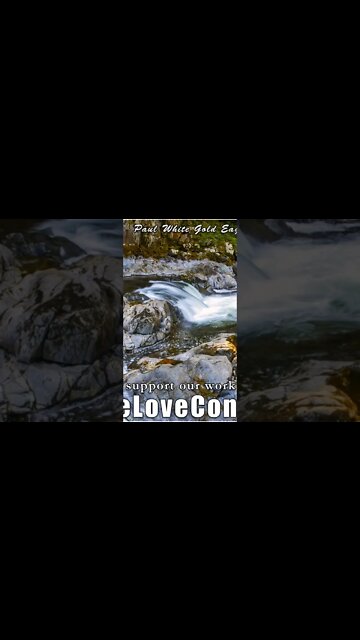 Light Bringers of the Galactic World bridger Legions of Light