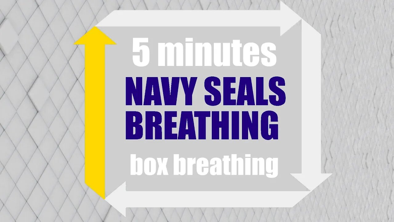 5 minutes Navy Seals Breathing Guided ❯ Box Breathing Technique ❯ Four-Square Breathing ❯ 4 4 4 4