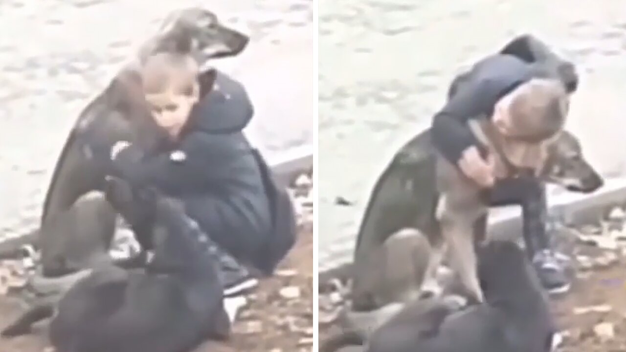 Kid hugs stray dog before heading to school