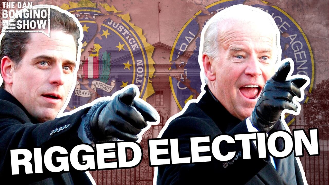 Did the FBI and CIA help RIG Elections?