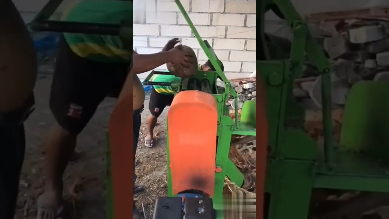 Coconut 🌴#shorts #Tiktok #coconut husk removing machine