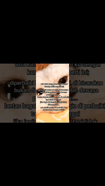 Perihal Dewasa #shortsfeed