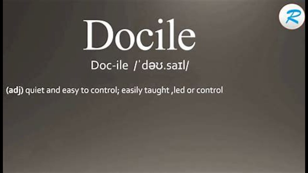 Docile: The Third Eye Network