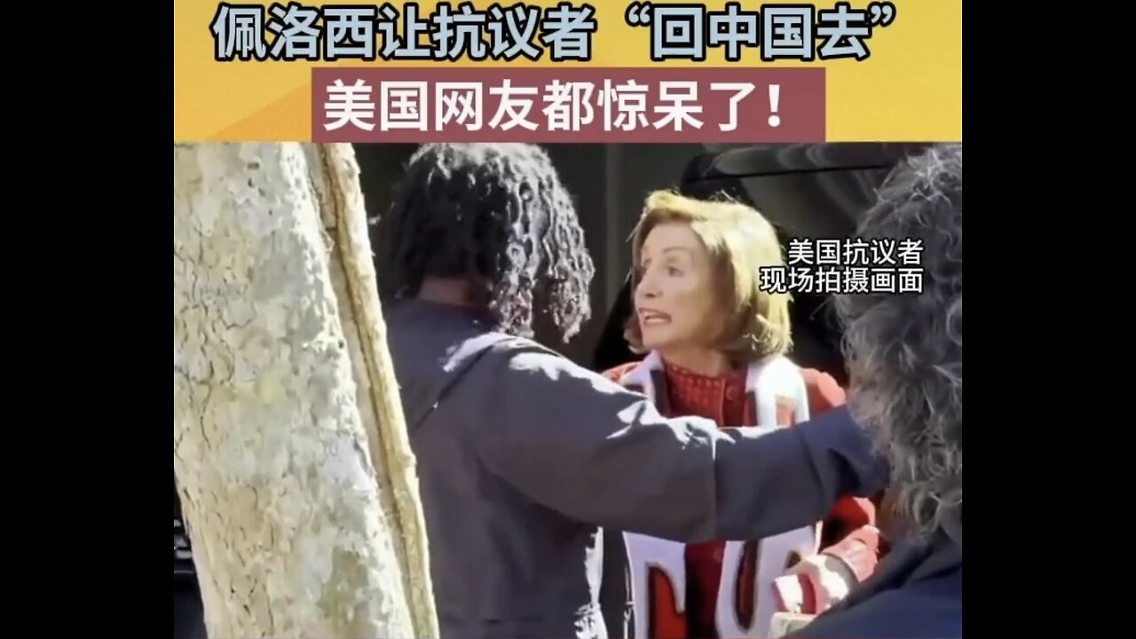 Nancy Pelosi told AngloSaxon protesters outside her home to back to China