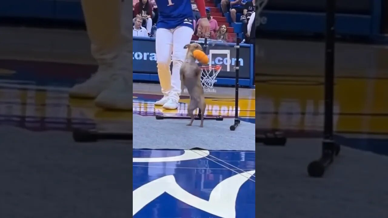 Legend.. 🏀 🎥 IG: castoinev