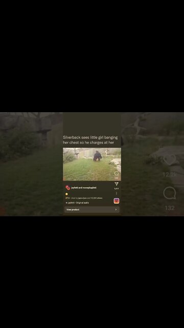 Girl Mocks gorilla 🦍 😳 #gorilla #gorillatag #gorillaz #monkey #monkeys #nature #memes #funny #zoo