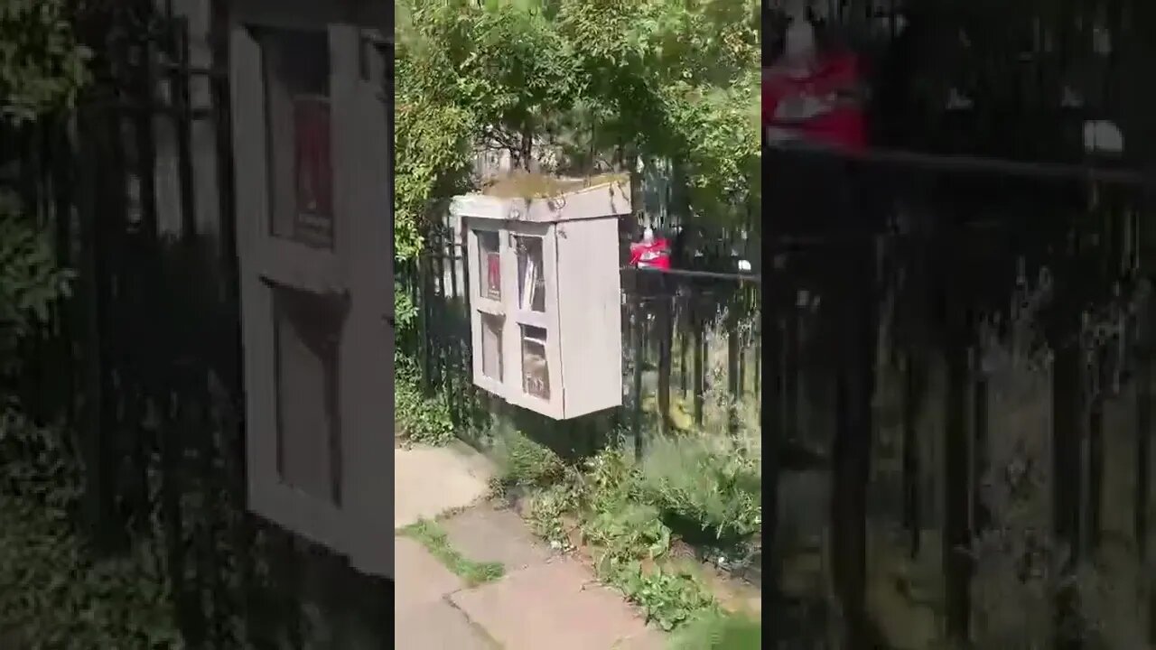 Little Free Library tiktok hearteyesforsodapop