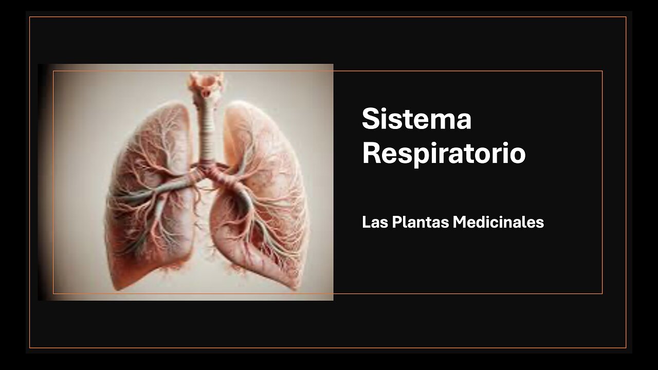 Conscientemente - Sistema Respiratorio