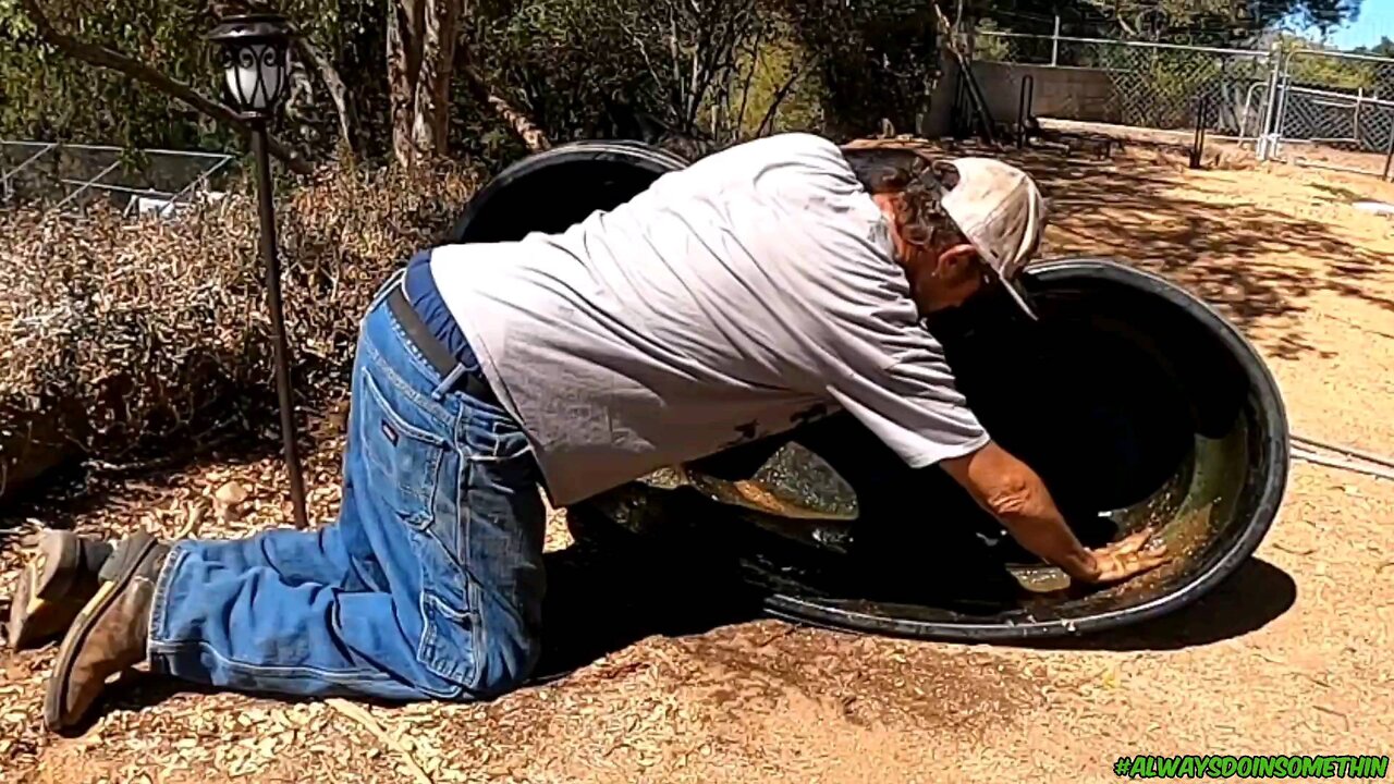 Cleaning pond using Dirt