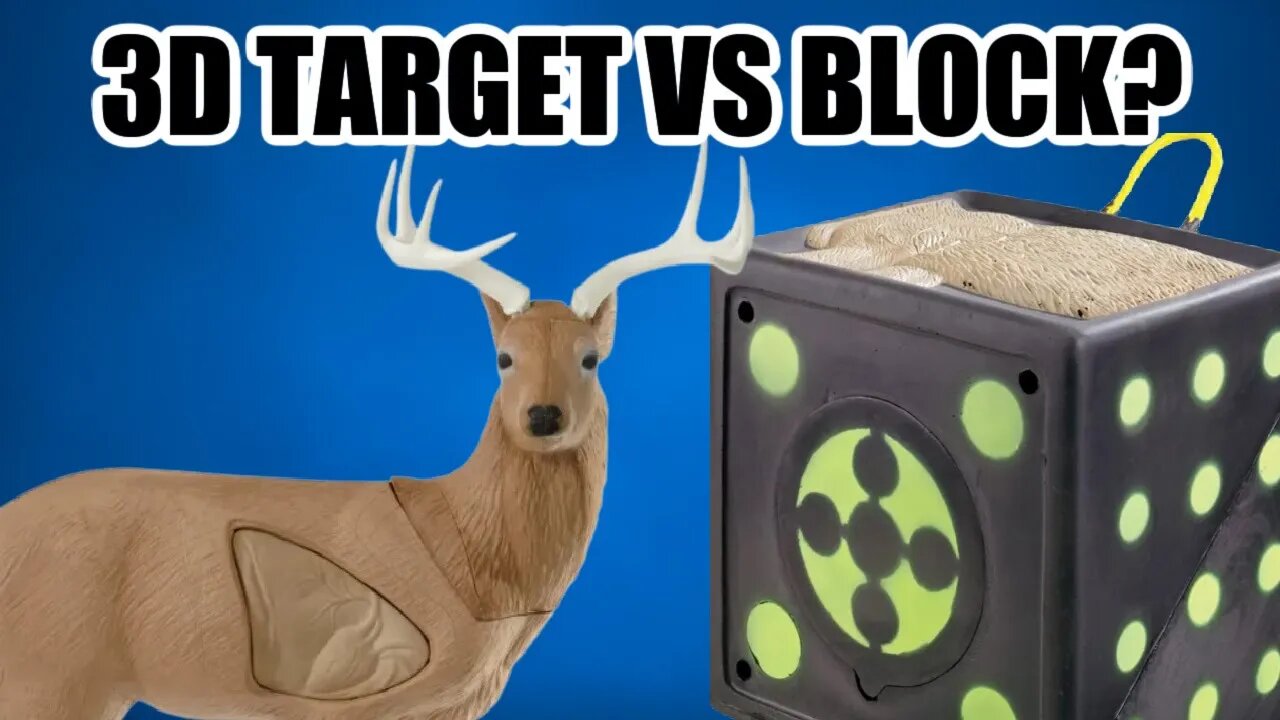 3d Target or Block Target for Practice?