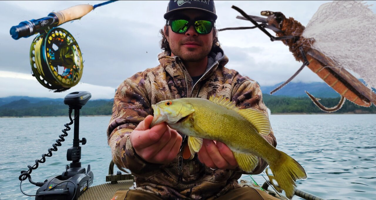 Fly Fishing For SMALLMOUTH BASS with Dry FLIES. Oregon Salmon Fly Hatch. Extra Drop Shot Action