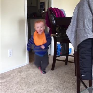 Cat Knocks Over A Toddler Boy