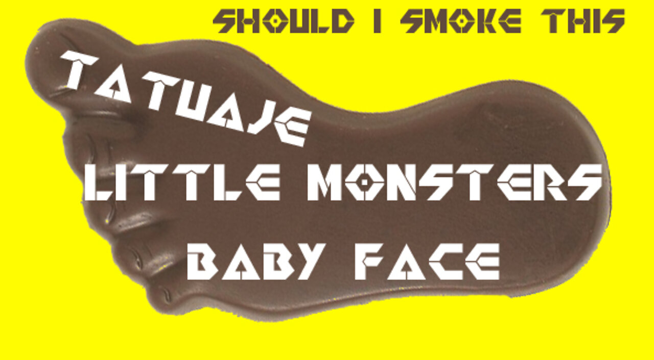 60 SECOND CIGAR REVIEW - Tatuaje Little Monsters Baby Face