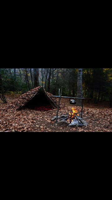 Building Debris Hut Survival Shelter. Primitive Technology and Bushcraft Camping #shorts