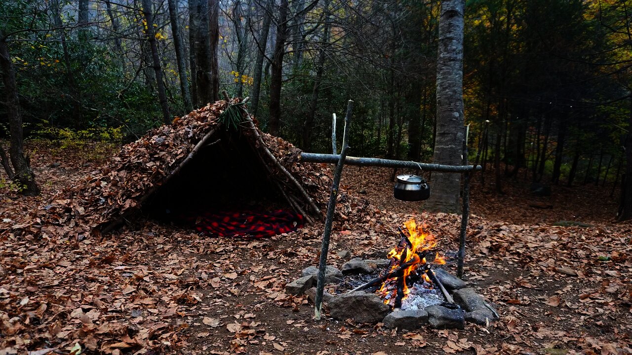 Building Debris Hut Survival Shelter. Primitive Technology and Bushcraft Camping #shorts