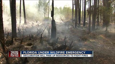 Two brush fires in Pasco continue to smolder