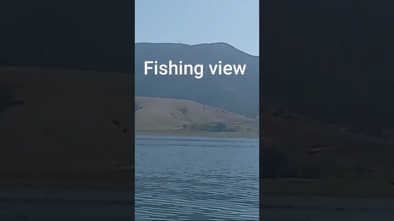Fishing view #fishing #short