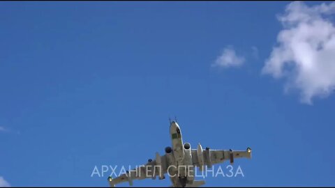 Our Winged Archangel flew