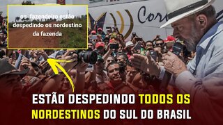 Estão despedindo os nordestinos - Anjos e demônios - Apocalipse - Profecia - Disco voador - UFO OVNI