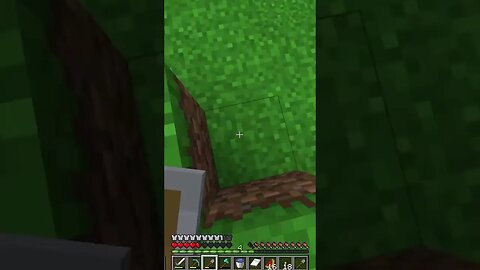 "Why is there a hole there?" | WeSuckAtMinecraft #shorts