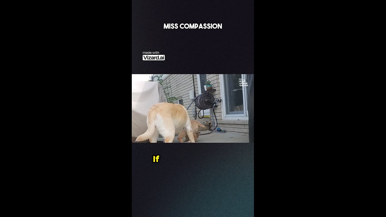 Miss Compassion