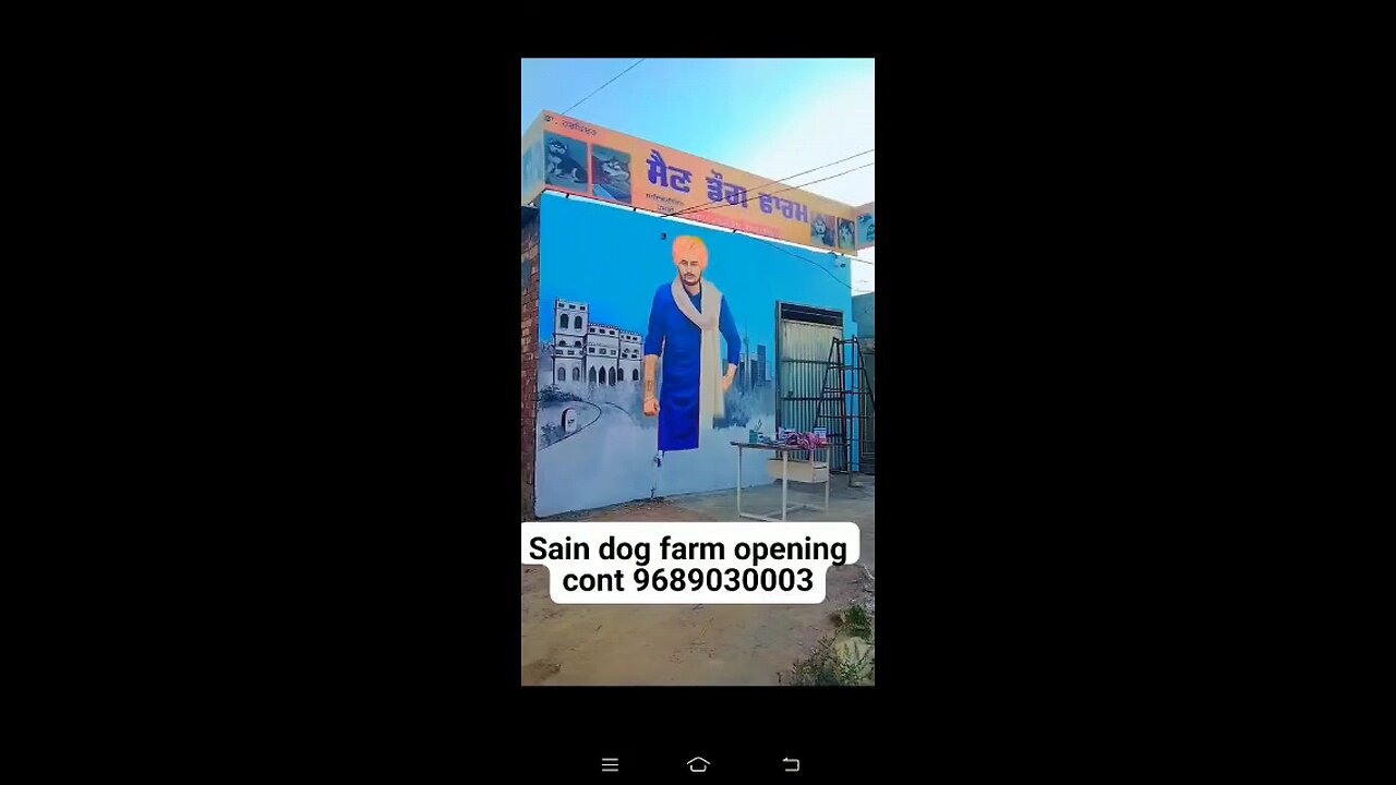 ਸੈਣ ਡੌਗ ਫਾਰਮ