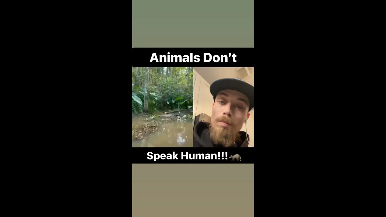 Jungle Justin Animals Don’t Speak Human!!!🦝🐊🦝