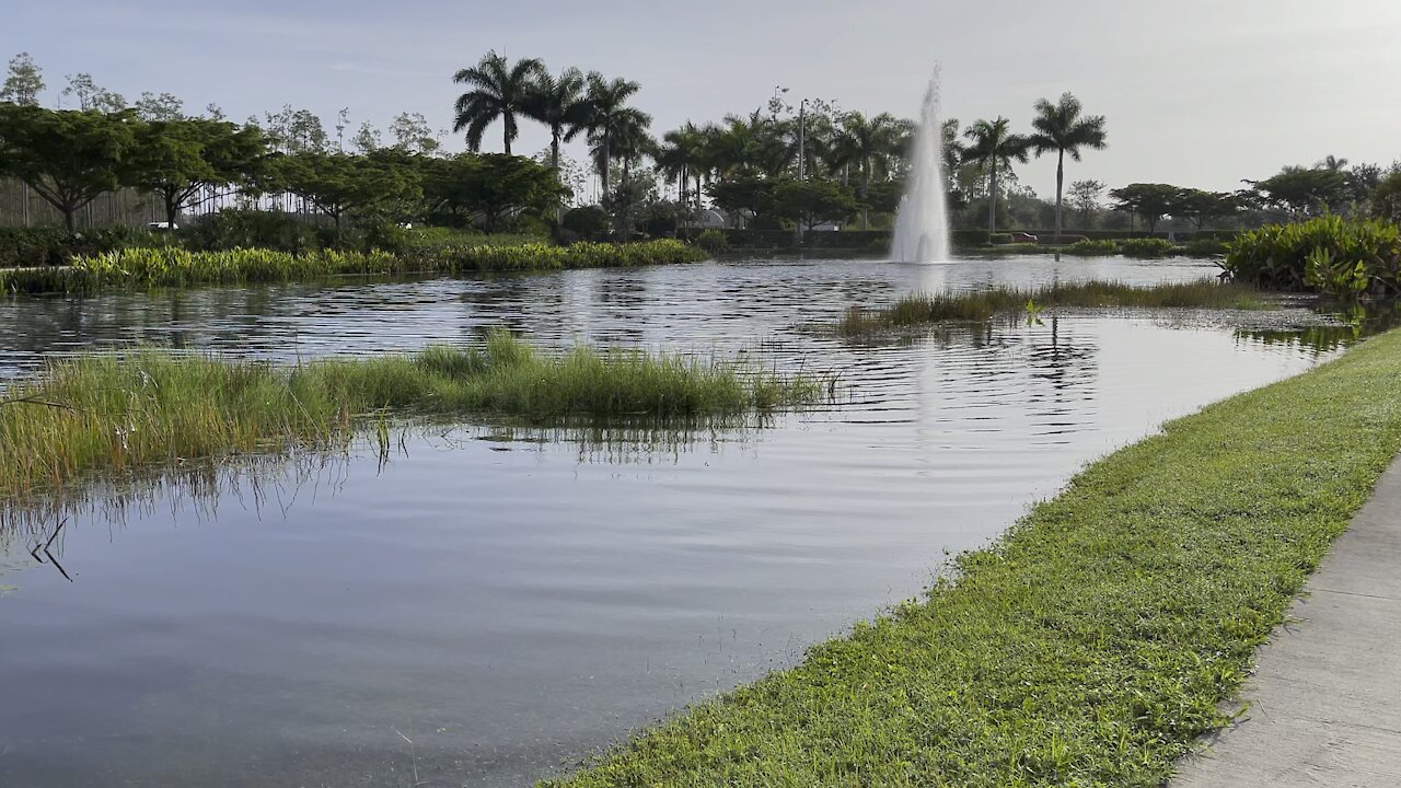 Golf Cart Rides in Paradise Part 1- 10/8/2021- #4K #FYP