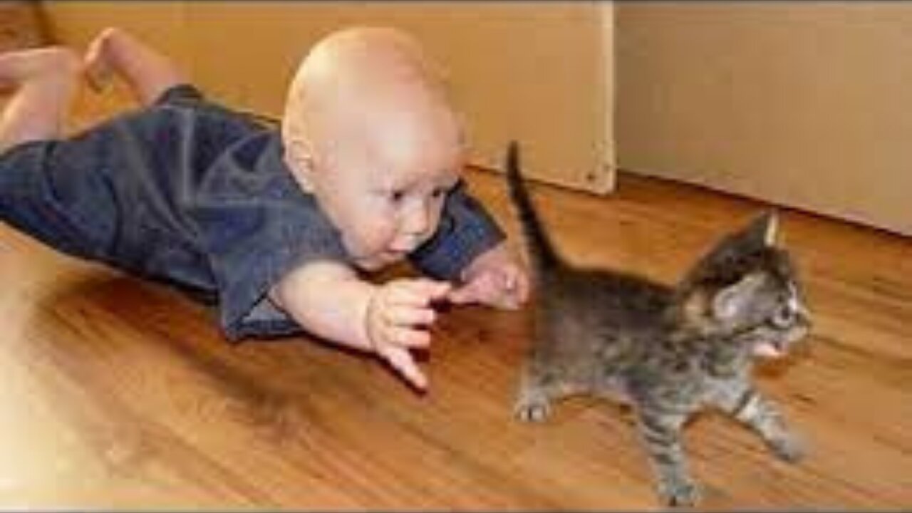 baby playing with cat 2021