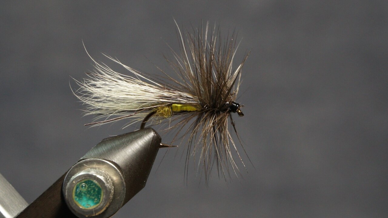 Stonefly Adult (Fling & Puterbaugh 12/30)