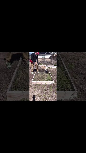 Cultivator Attachment on Toro Trimmer