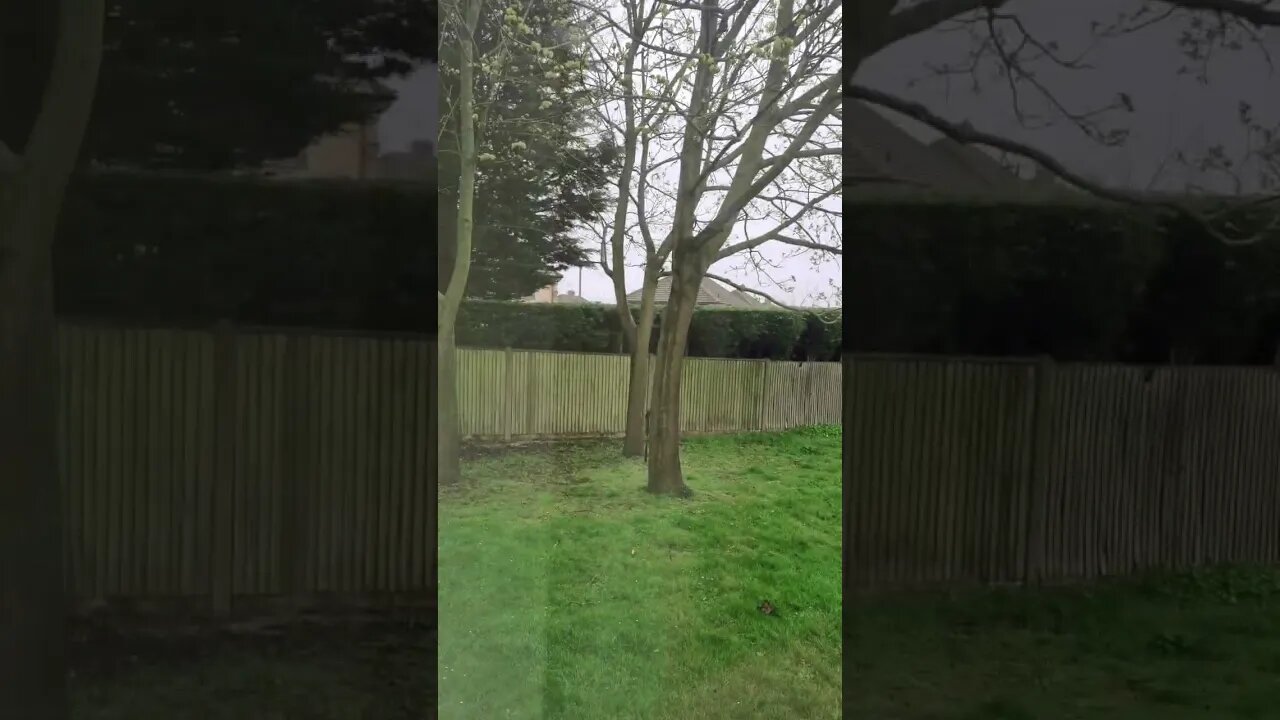 dull and grey 😴 enjoy 😉 don't forget to like and subscribe to my channel 👍