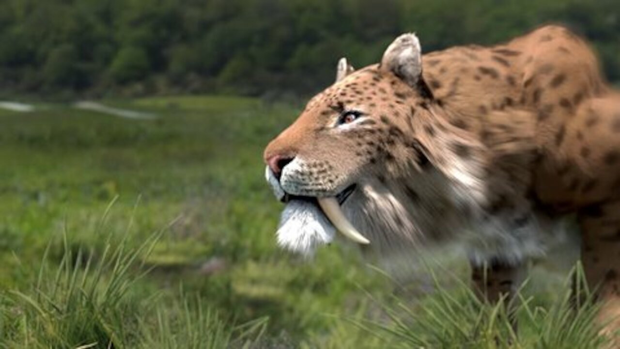 Watch this and Learn National geographic Documentary - Prehistoric predators - Wildlife Animals