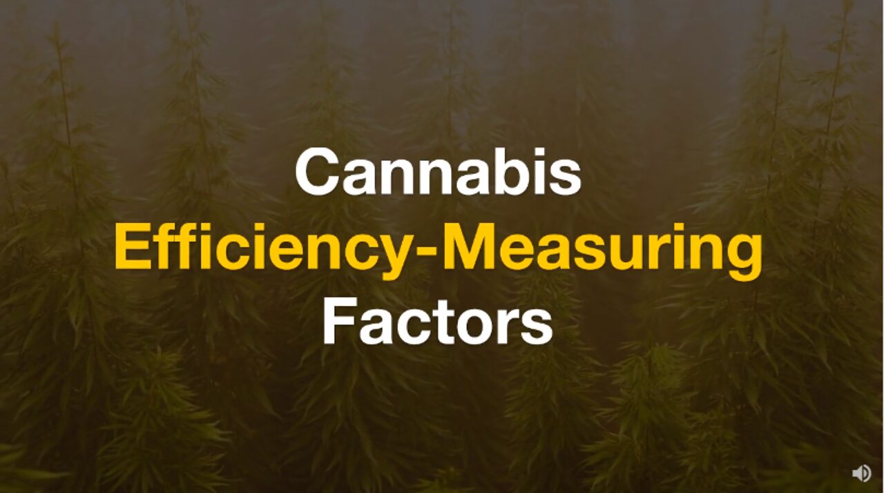 Cannabis Efficiency Measuring Factors