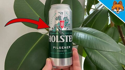 Tilt BEER over your Plants and WATCH WHAT HAPPENS 💥 (unbelievable) 😱