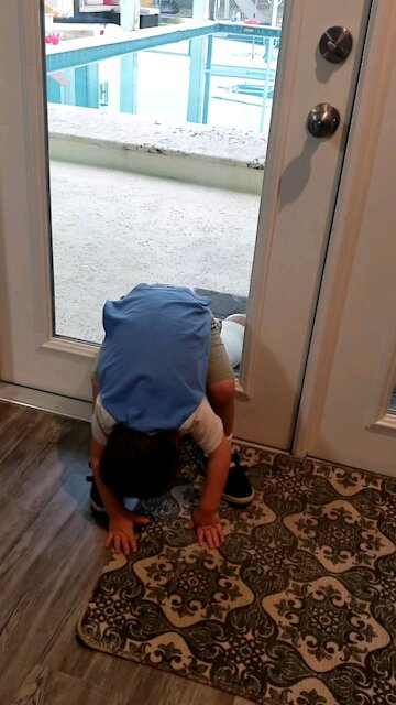 My kids torments the dog.