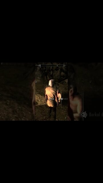 Borkul die Bestie Skyrim #skyrimdeutsch #skyrimmeme #gameplayshorts #shorts #skyrimmods @MarocSmile