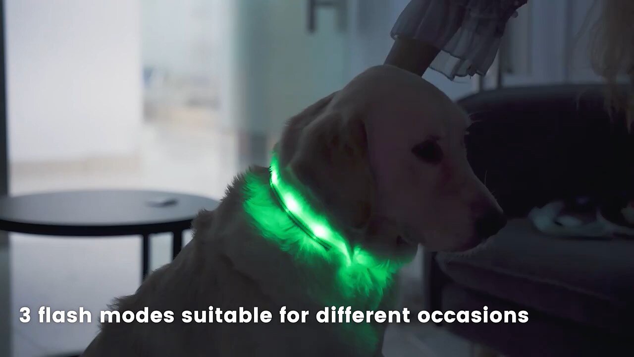 Fully Adjustable & Bright Lighted Glow Dark Dog Collars