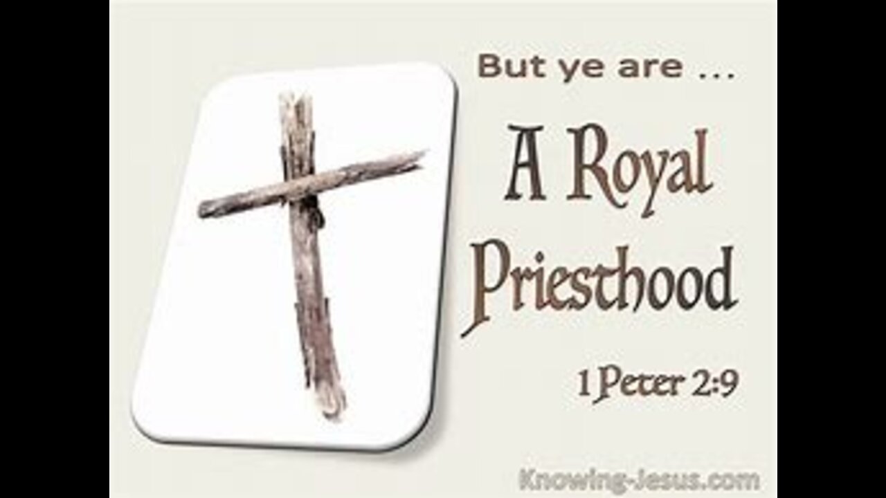 Number 24 Priesthood. The Biblical Number Series