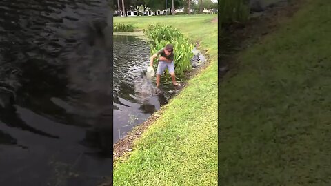 How to Remove Armoured Catfish