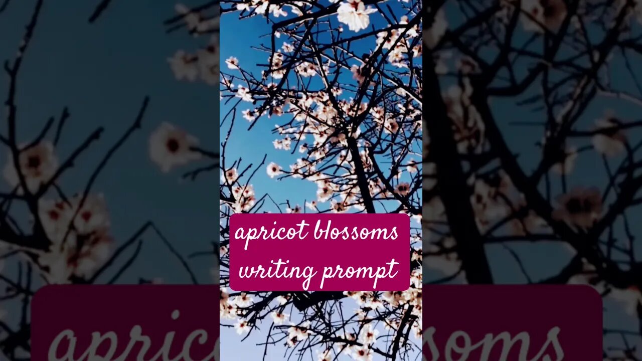 Palette Stories writing prompt -Apricot blossoms