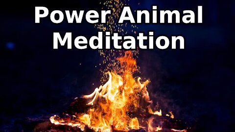 Power Animal Meditation