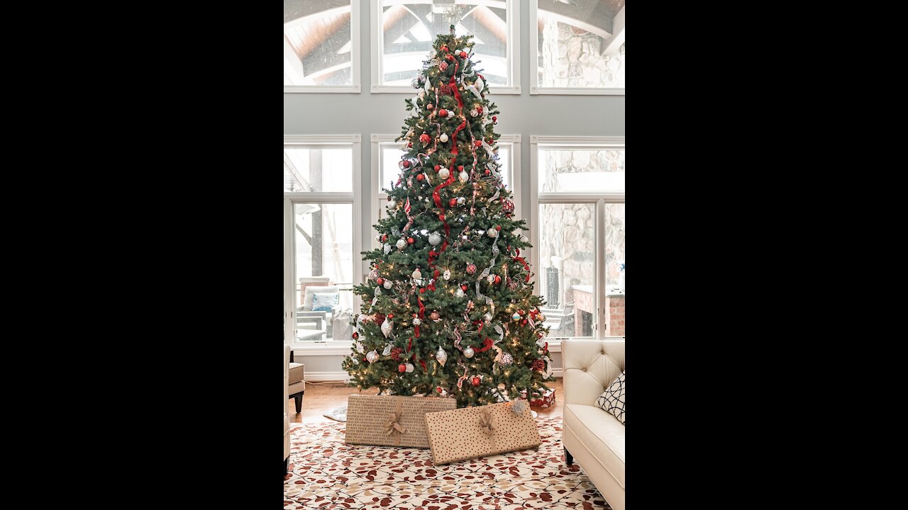 How To Branch Wrap A Tree | Outdoor Christmas Light Tips