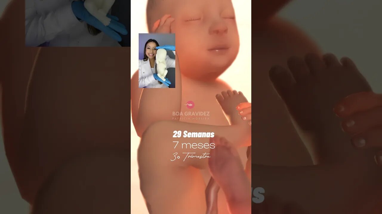 3º trimestre de gravidez