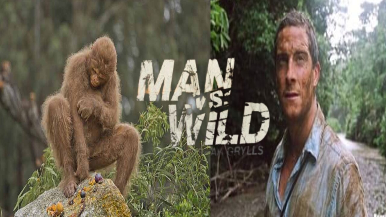 man vs wild life Geographic 20.02.2024