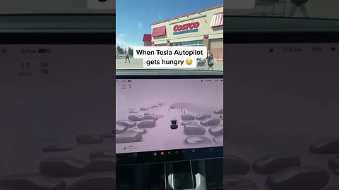 Tesla is for happy guys only 🥺 Video By amplifybycarlos #Shorts